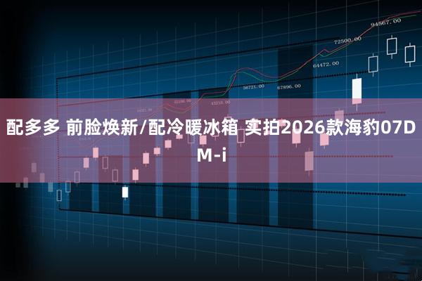 配多多 前脸焕新/配冷暖冰箱 实拍2026款海豹07DM-i